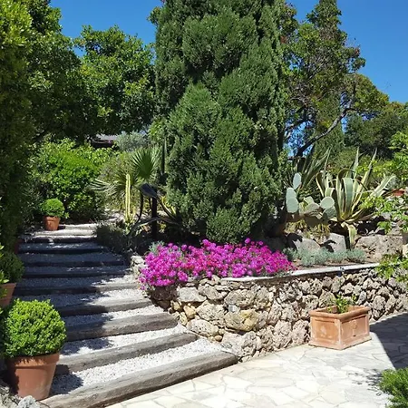 Port Sud Bed & Breakfast Cavalaire-sur-Mer