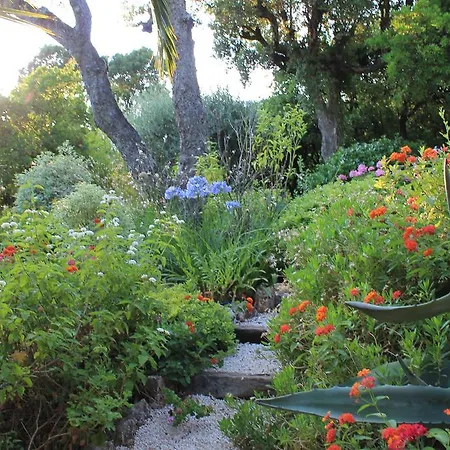 Bed & Breakfast Port Sud Cavalaire-sur-Mer
