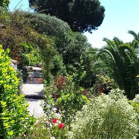 Port Sud Bed & Breakfast Cavalaire-sur-Mer