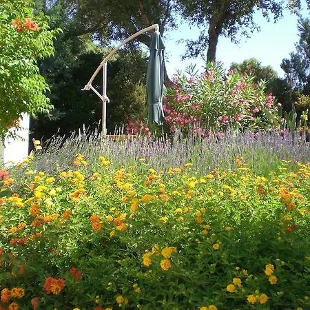 Bed & Breakfast Port Sud 3*