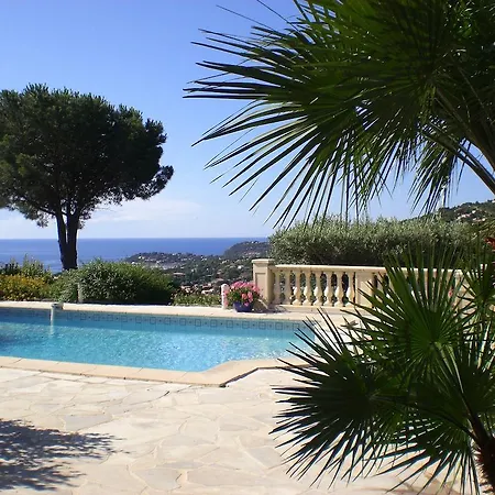 Bed & Breakfast Port Sud 3*